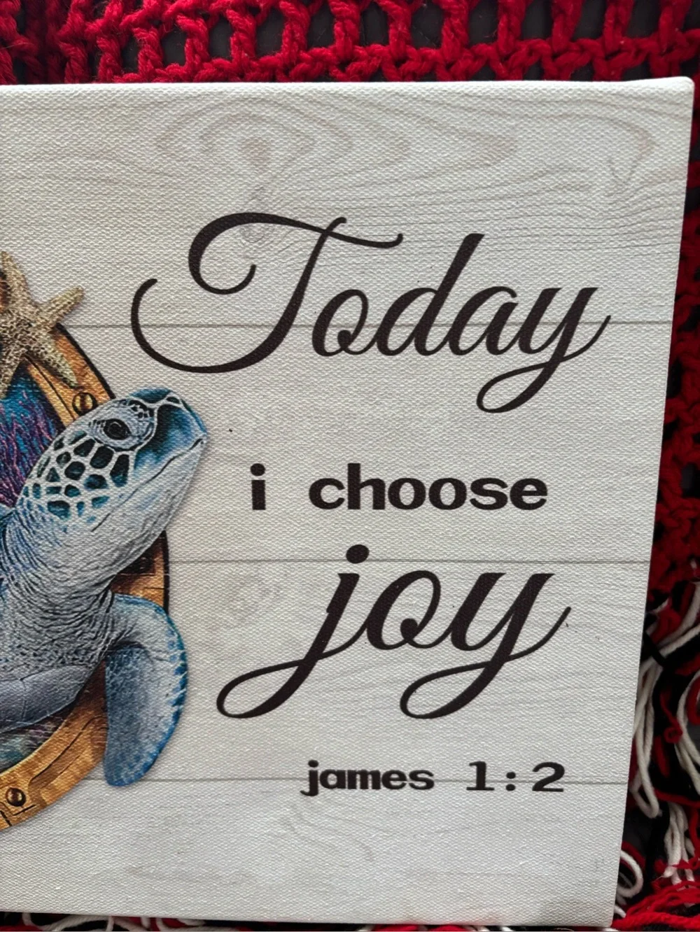 Turtle 🐢 canvas “today I choose joy “ James 1:2